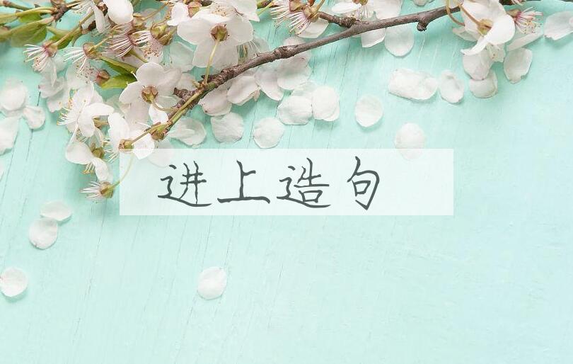用进上造句