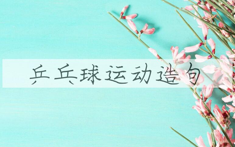 用乒乓球运动造句