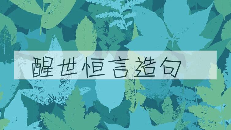 用醒世恒言造句