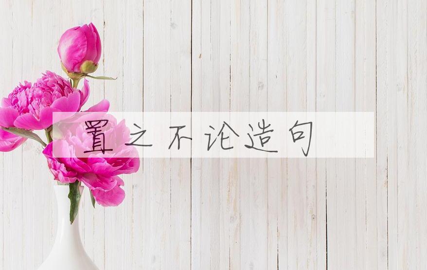 用置之不论造句