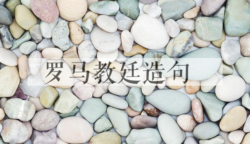 用罗马教廷造句