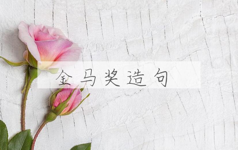 用金马奖造句