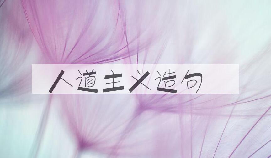 用人道主义造句