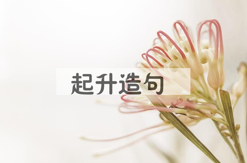 用起升造句