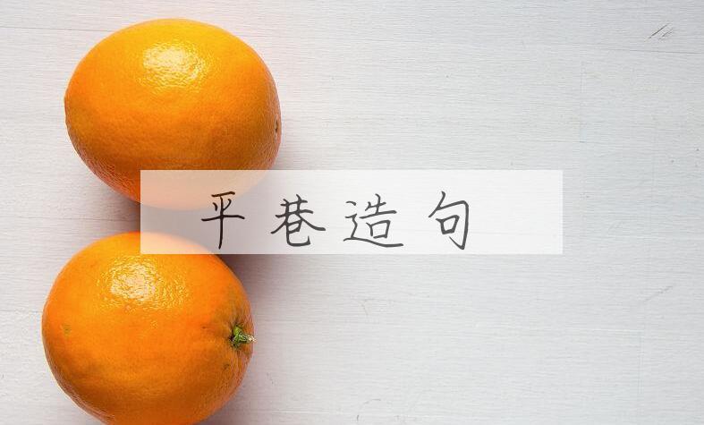 用平巷造句