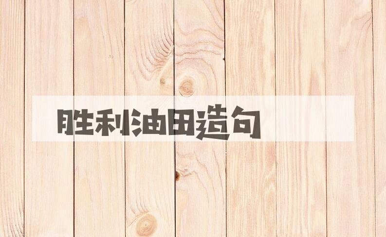 用胜利油田造句