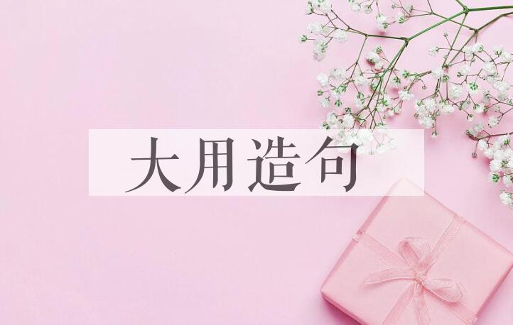 用大用造句