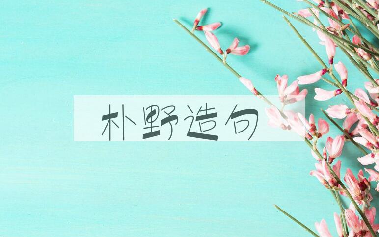 用朴野造句