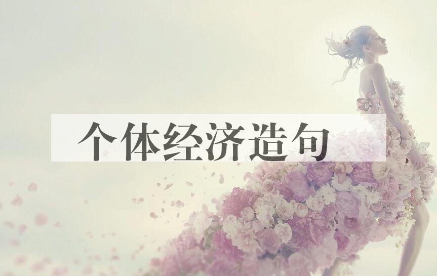 用个体经济造句