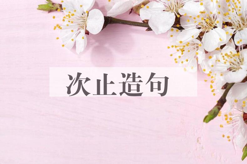 用次止造句