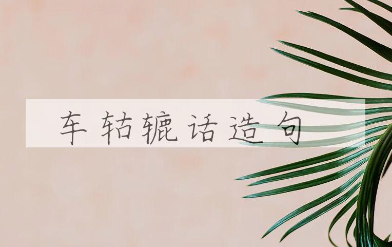 用车轱辘话造句