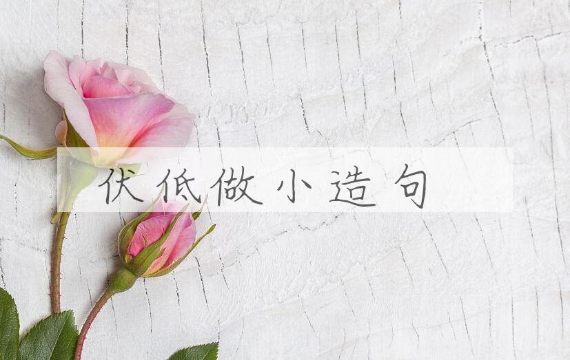 用伏低做小造句