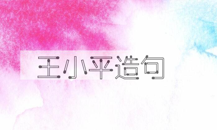 用王小平造句