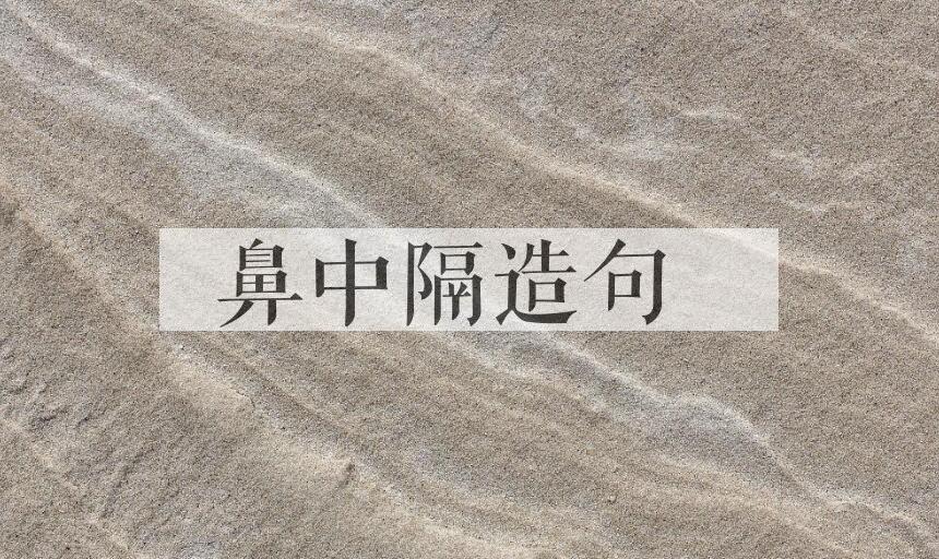 用鼻中隔造句