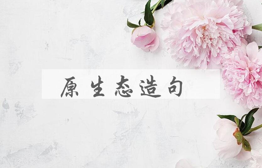 用原生态造句