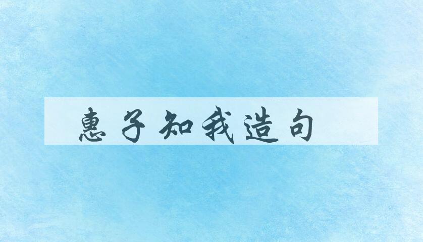 用惠子知我造句