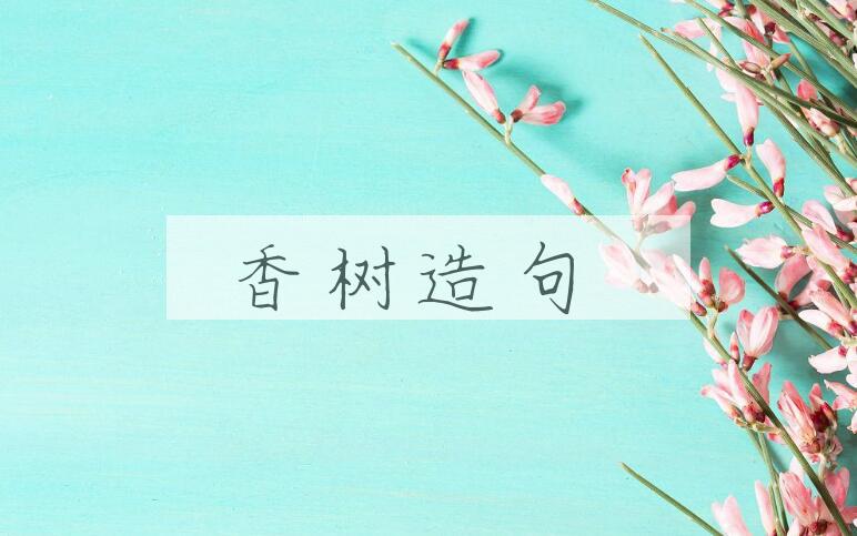 用香树造句