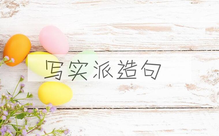 用写实派造句