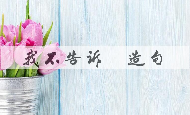 用我不告诉你造句