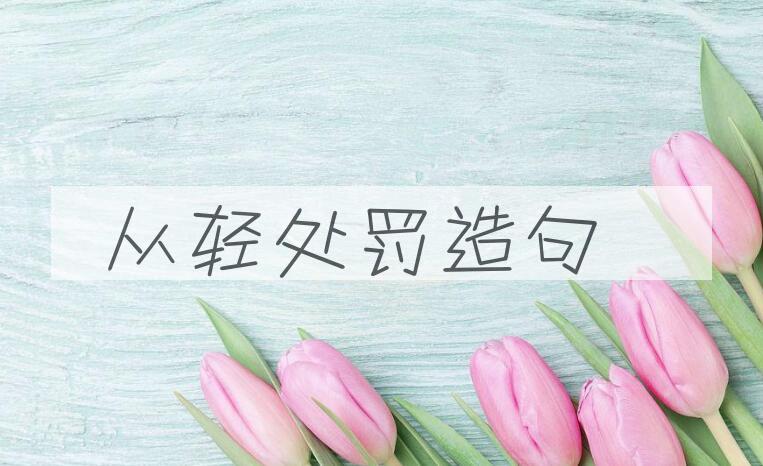 用从轻处罚造句