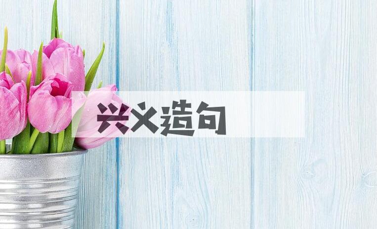 用兴义造句