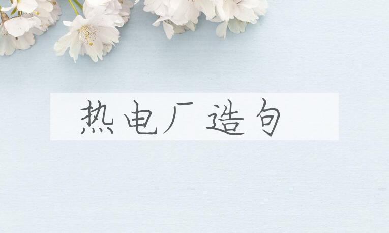 用热电厂造句