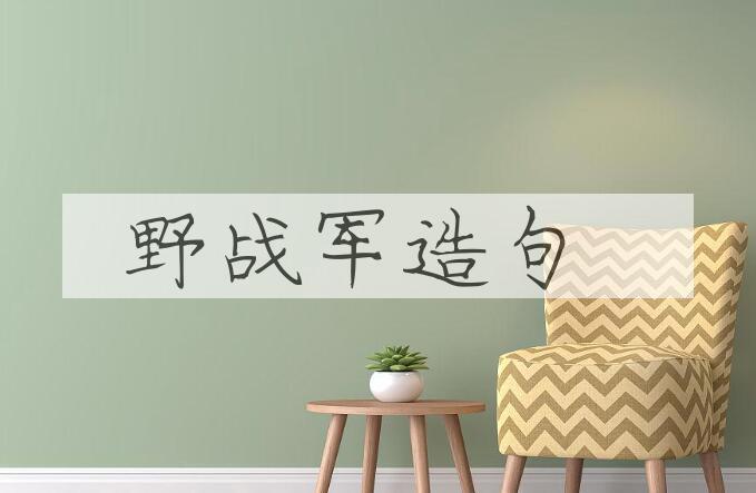 用野战军造句