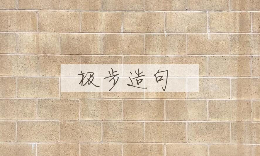 用极步造句