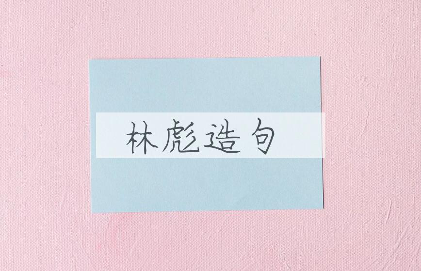 用林彪造句