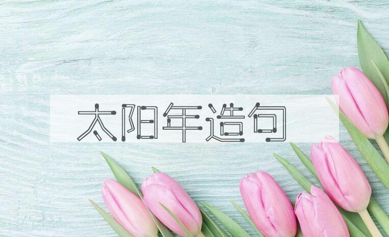 用太阳年造句