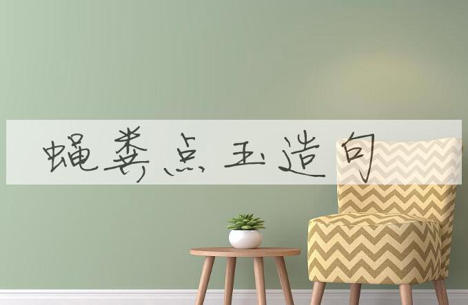 用蝇粪点玉造句