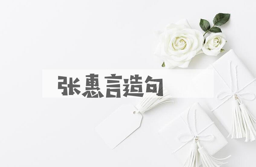 用张惠言(1761-1802)造句