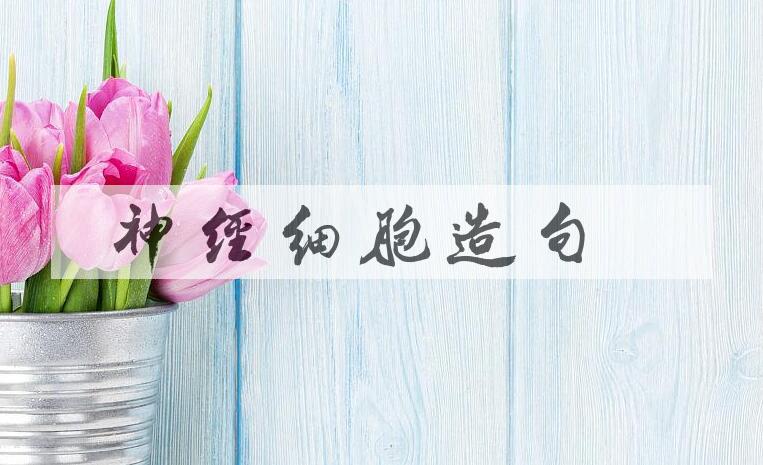 用神经细胞造句