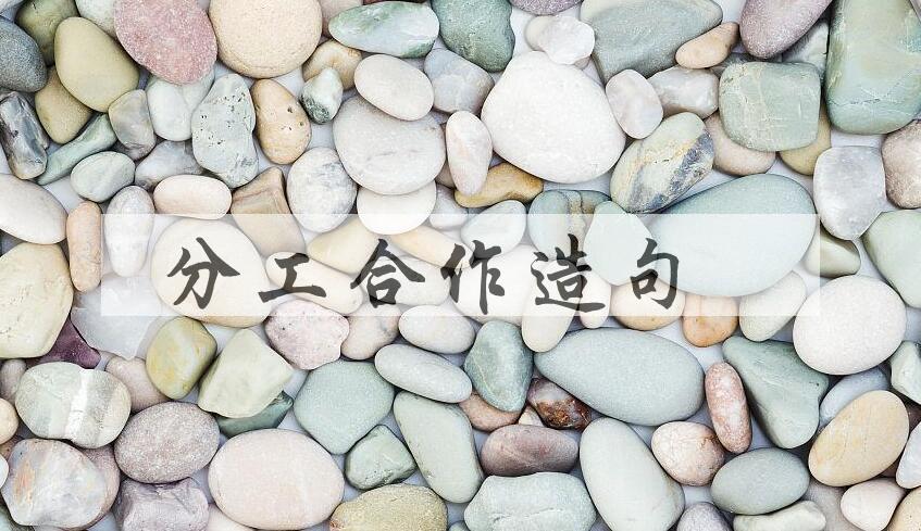 用分工合作造句