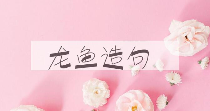 用龙鱼造句