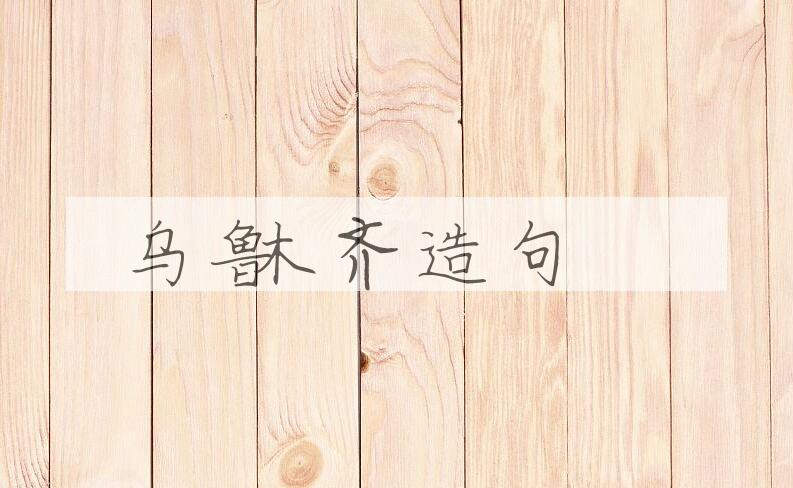 用乌鲁木齐造句