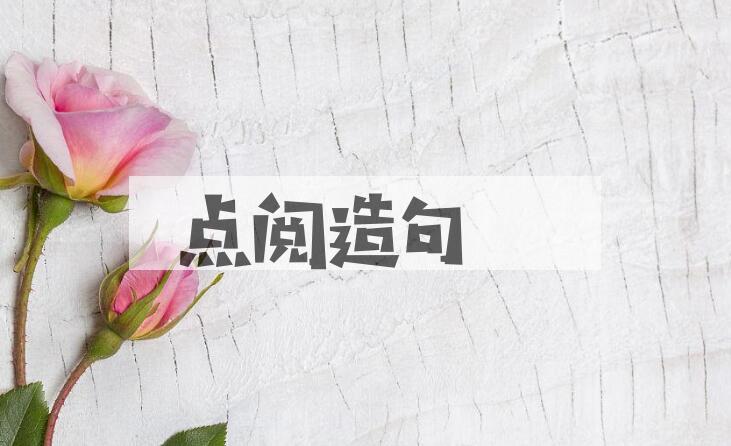 用点阅造句