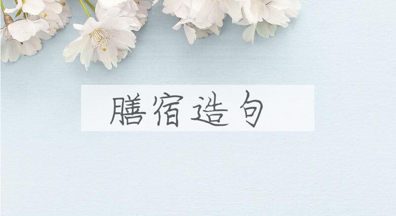 用膳宿造句