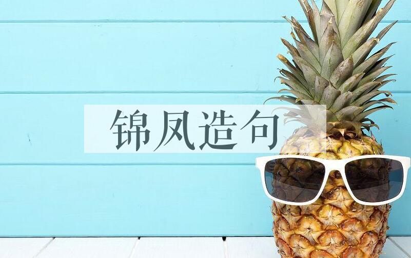用锦凤造句