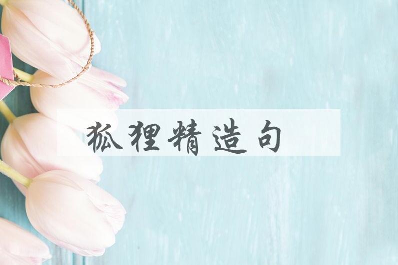 用狐狸精造句