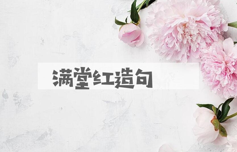 用满堂红造句