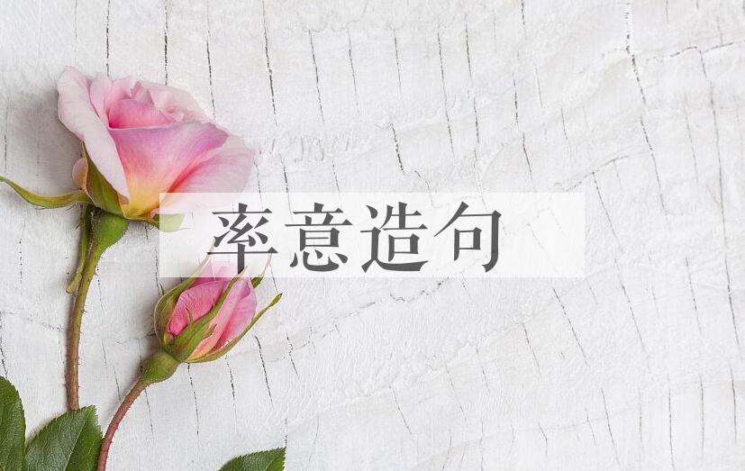 用率意造句