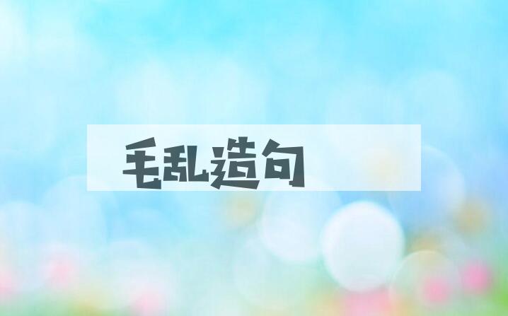 用毛乱造句