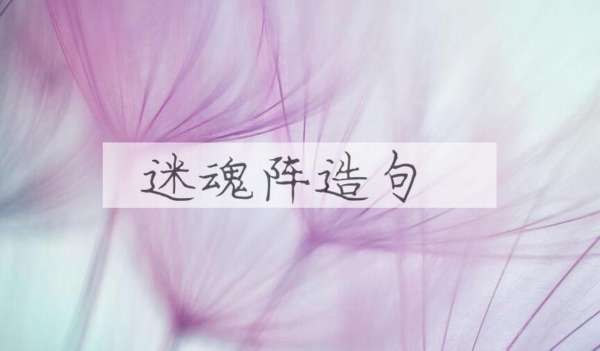 用迷魂阵造句