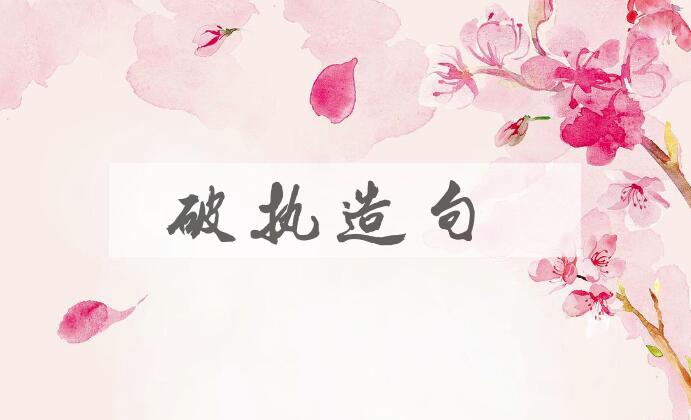 用破执造句
