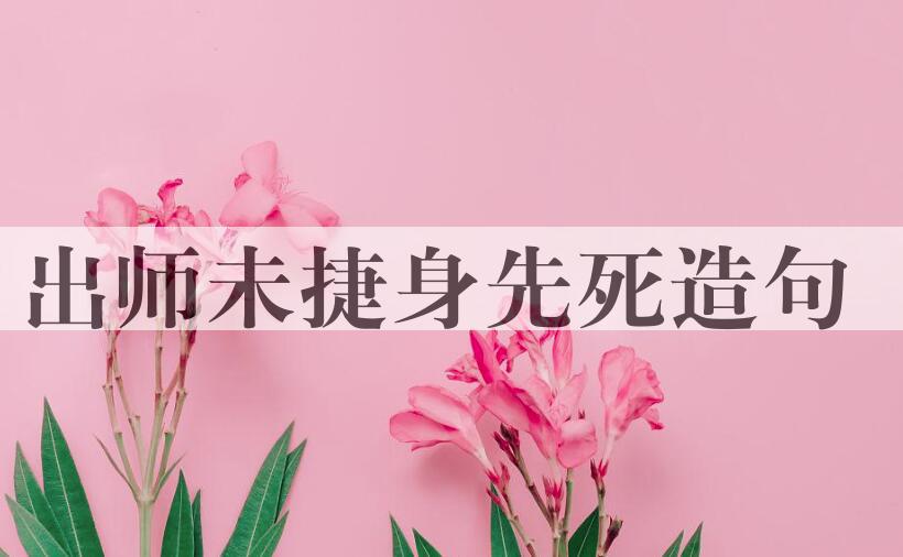 用出师未捷身先死造句