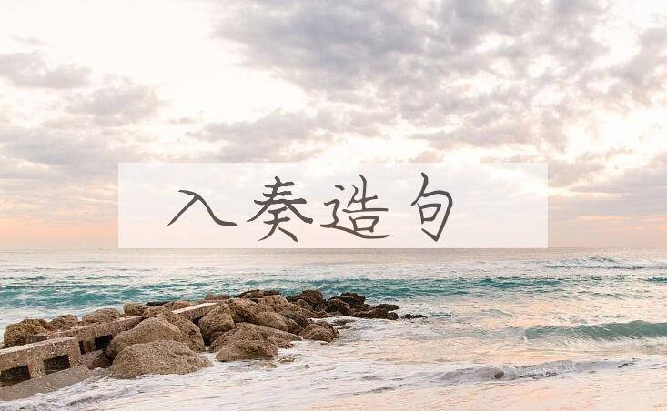 用入奏造句