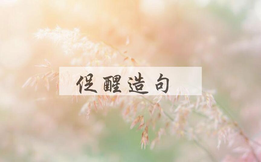 用促醒造句