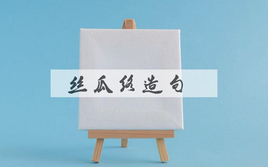 用丝瓜络造句