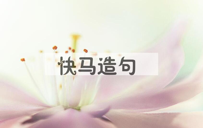 用快马造句